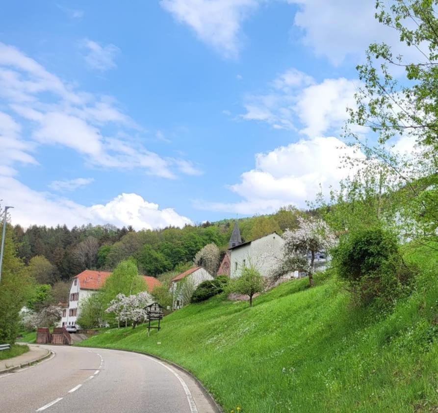Family House Apartamento Eberbach  Exterior foto