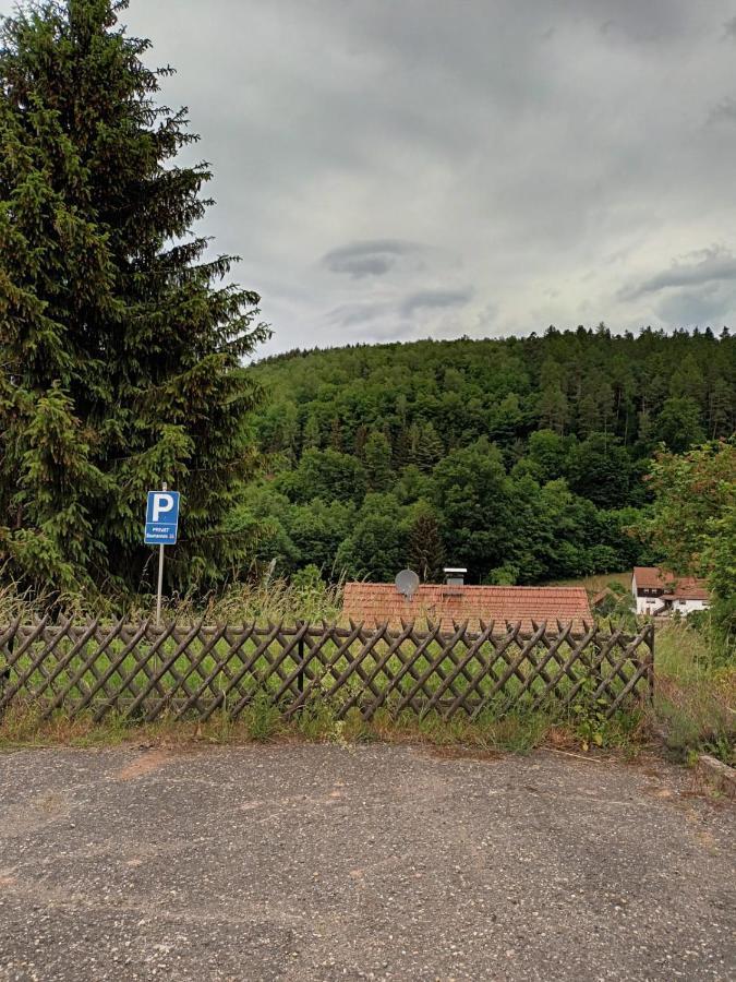 Family House Apartamento Eberbach  Exterior foto